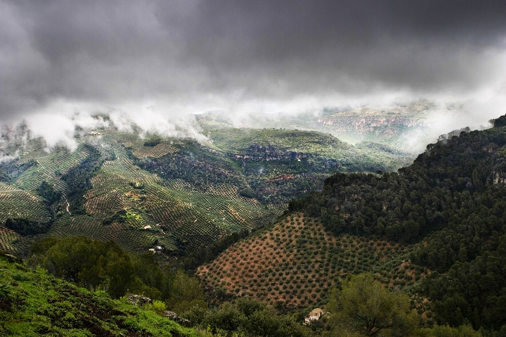 tormenta