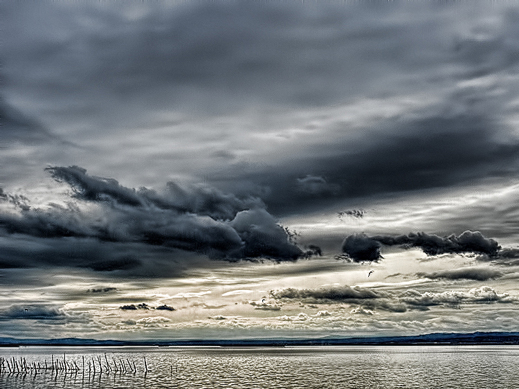 Tormenta en la Albufera