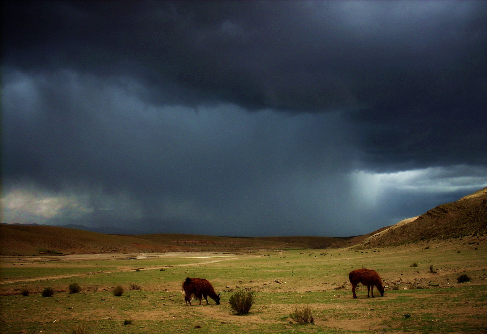 tormenta en la puna jujeña