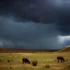 tormenta en la puna jujeña