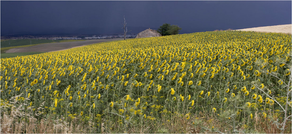 Tormentas de Junio 3