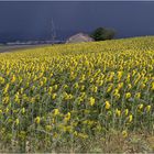 Tormentas de Junio 3