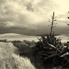 Tormentas de Junio