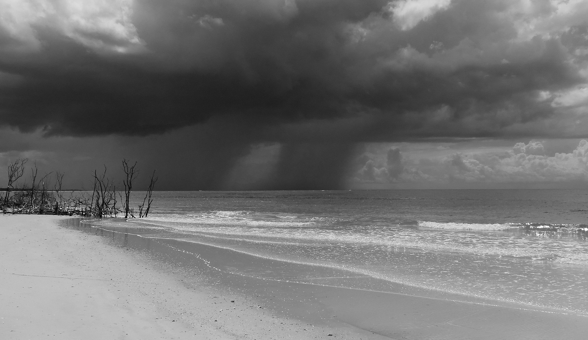 Tormentas en B/N