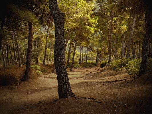 Tormentas en Mallorca