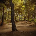 Tormentas en Mallorca