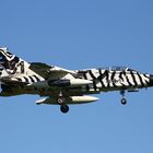 Tornado " Arctic Tiger "