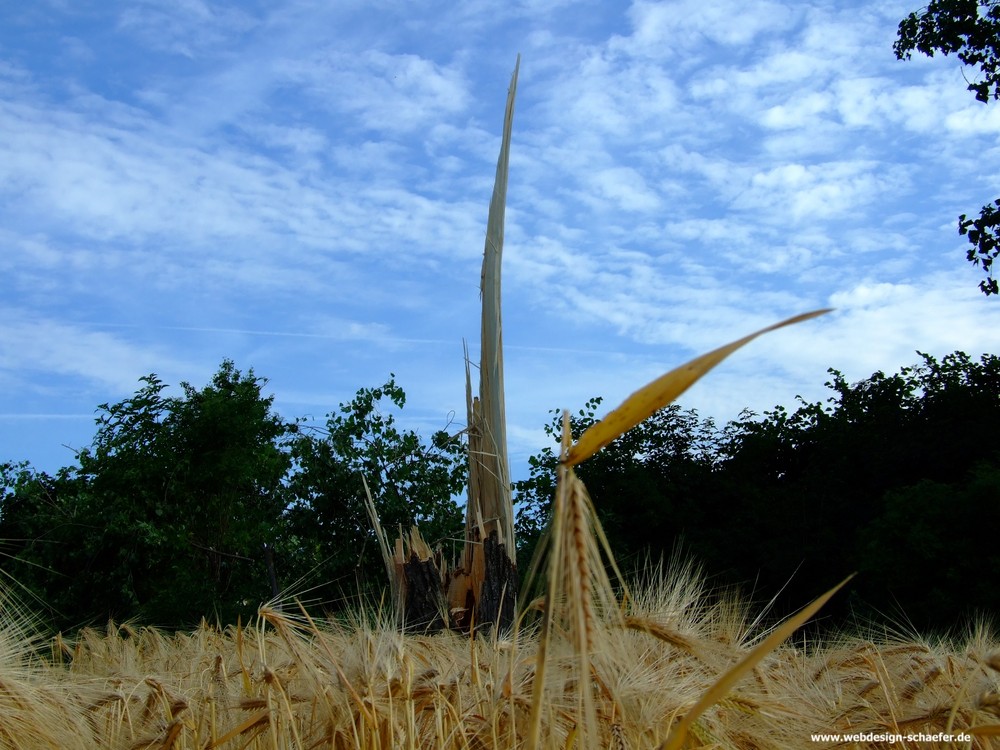 Tornado- der Tag danach...