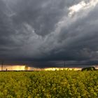 Tornado-Formation