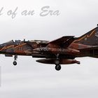 Tornado IDS Luftwaffe 45+46 "End of an Era"