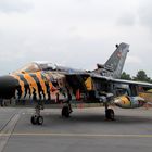 Tornado mit Bemahlung für NATO Tiger Meet