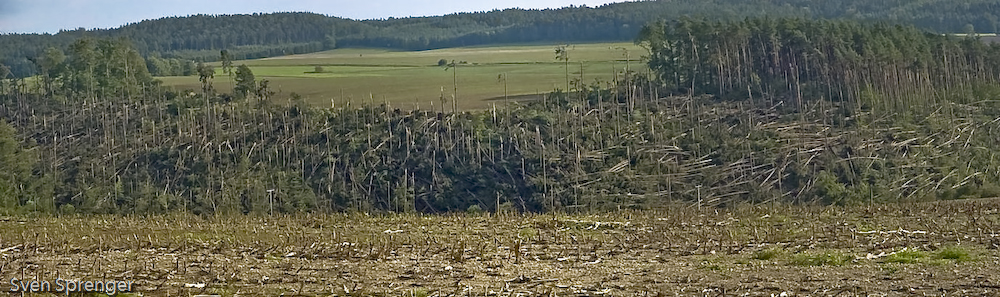 Tornado Quirla Waldschaden