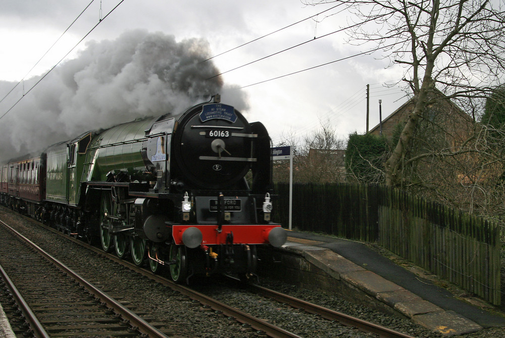 Tornado Train