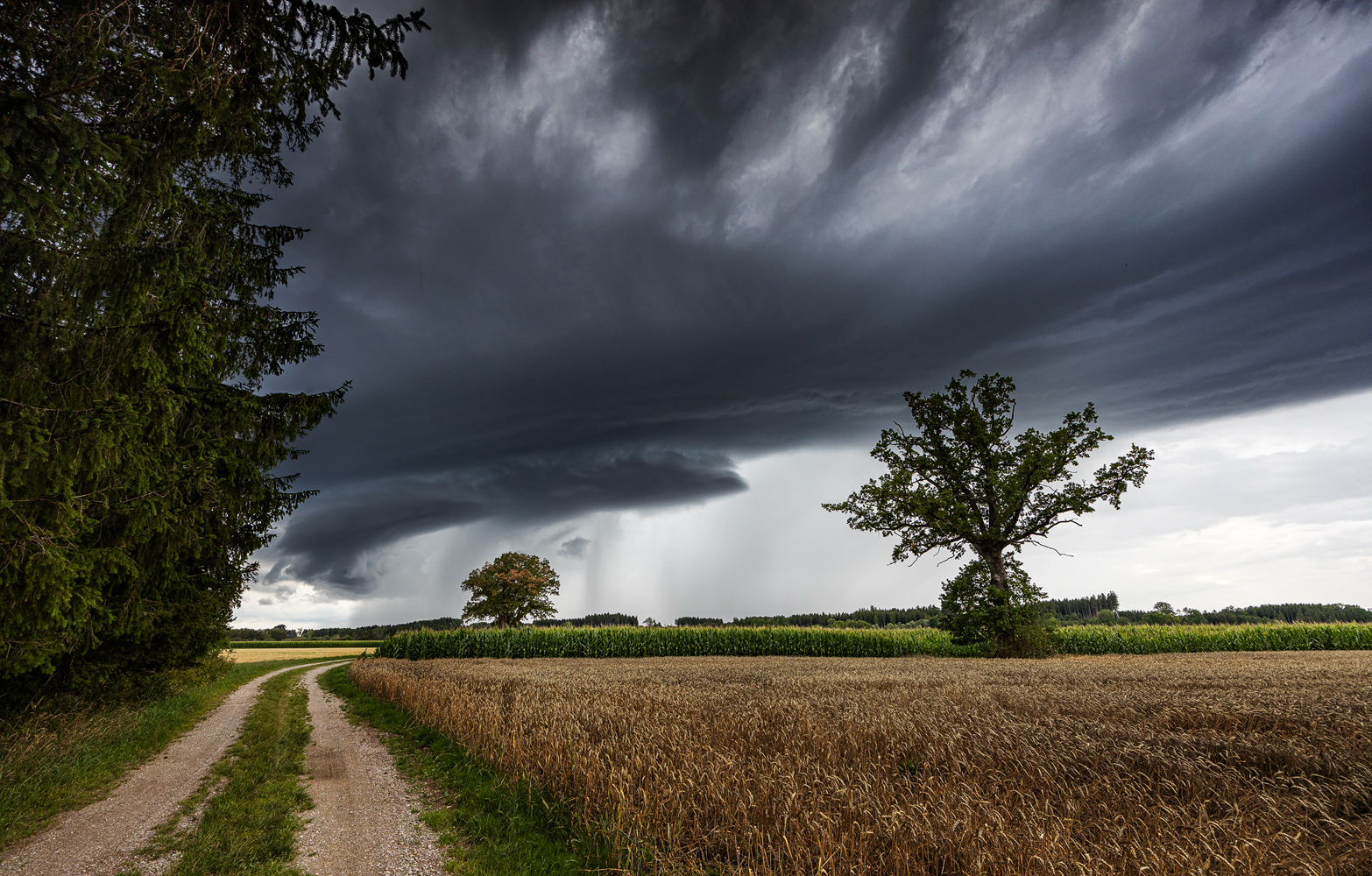 tornado warnung