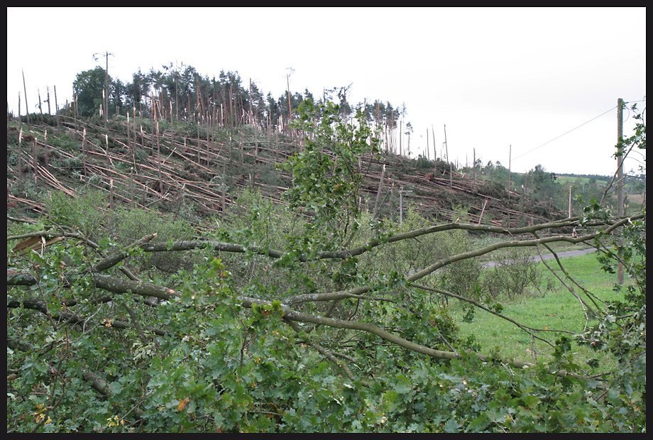 Tornadofolgen (Quirla) 1