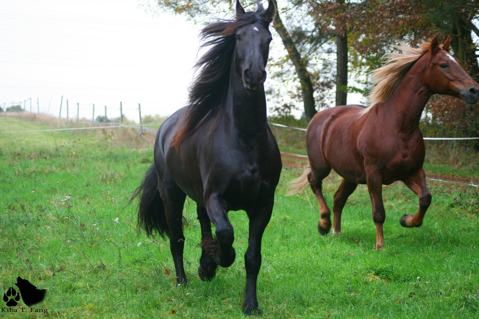 Tornado&Sällö