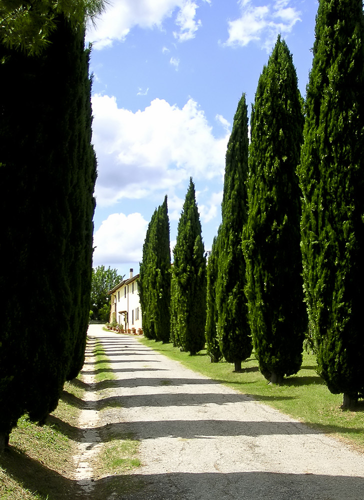 Tornando a casa