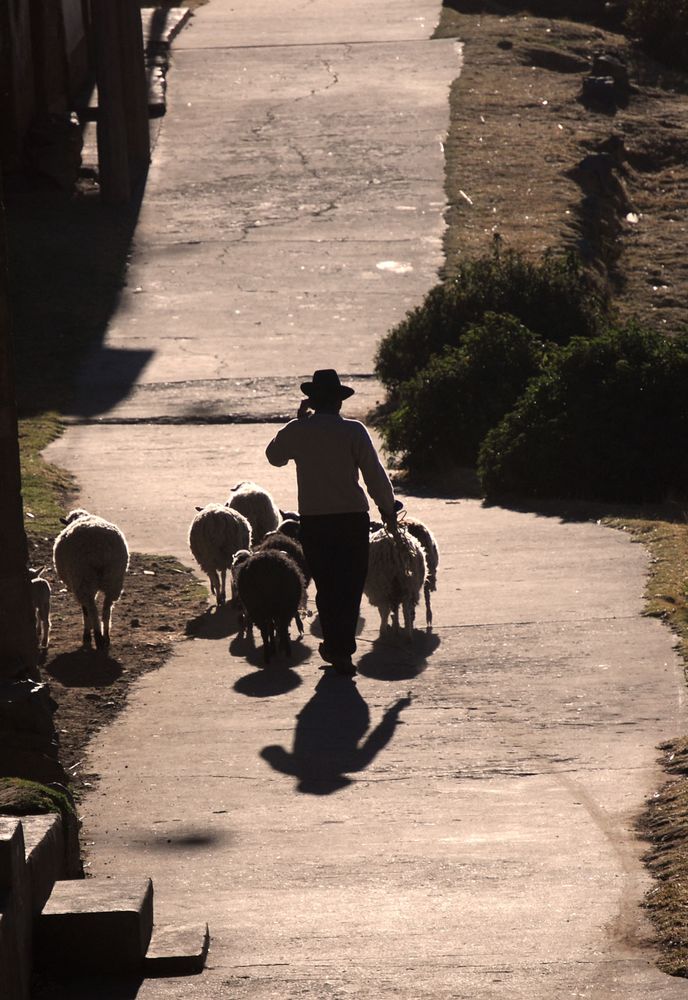 Tornando a casa