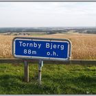 Tornby Bjerg