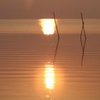 Tornerà a risplendere il sole