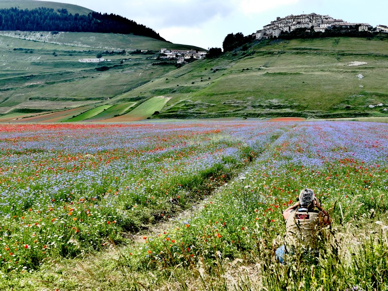 Torneremo a Castelluccio di Norcia (PG)