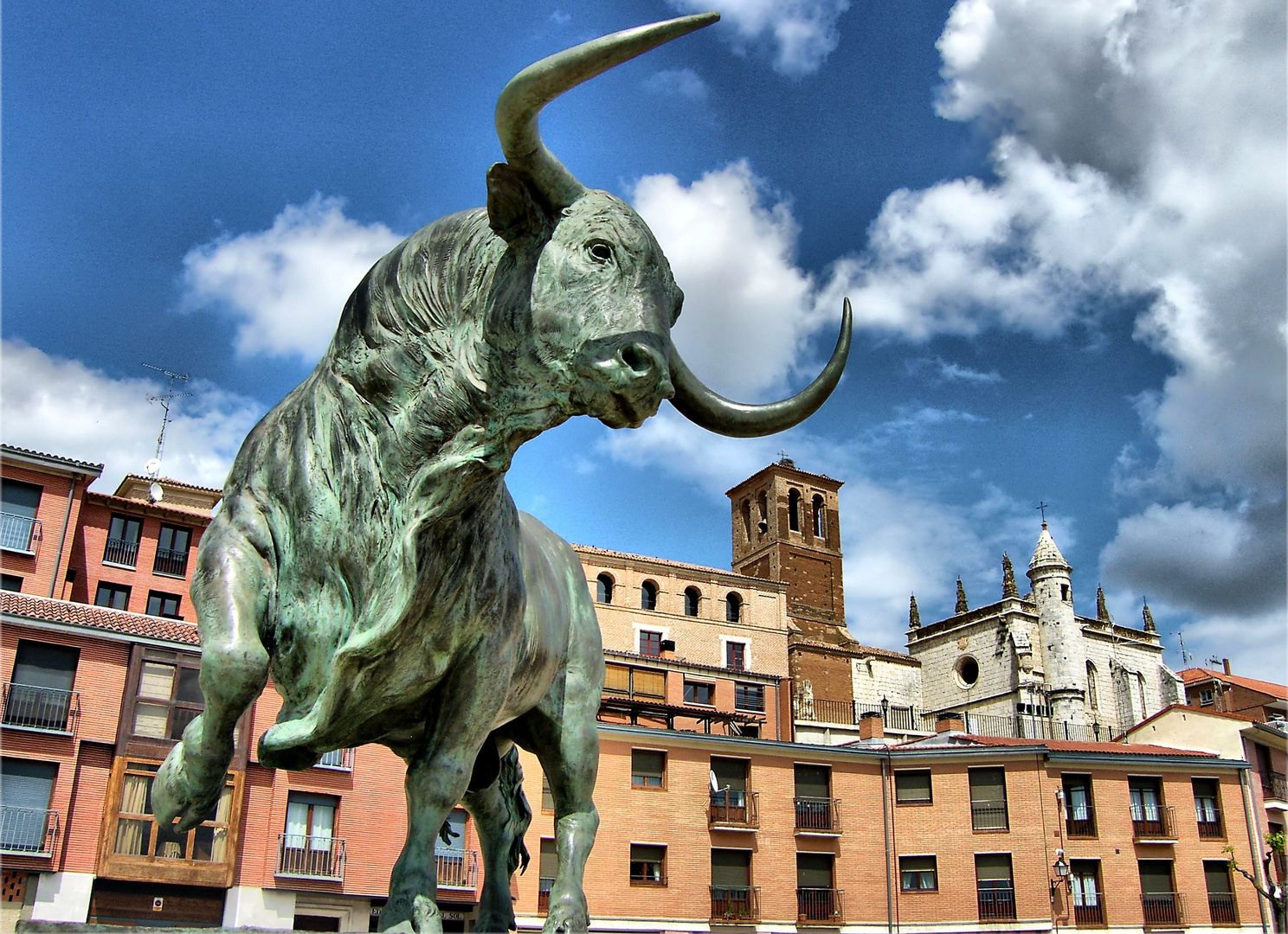 Toro de la Vega