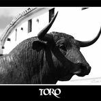 _-*Toro de Ronda*-_