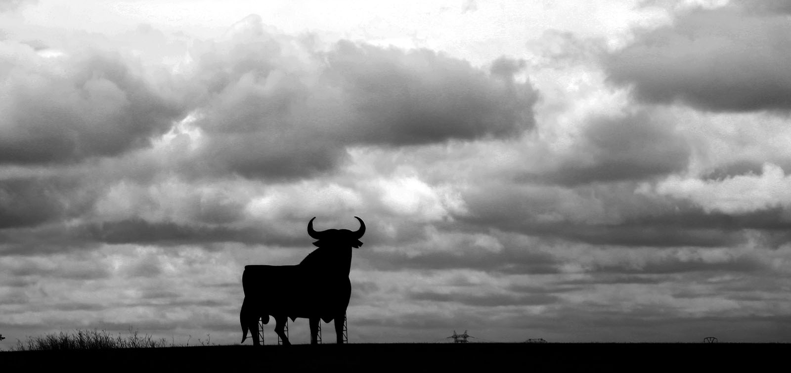 Toro y tormenta.