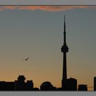 Toronto _