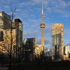 Toronto in der Abendsonne