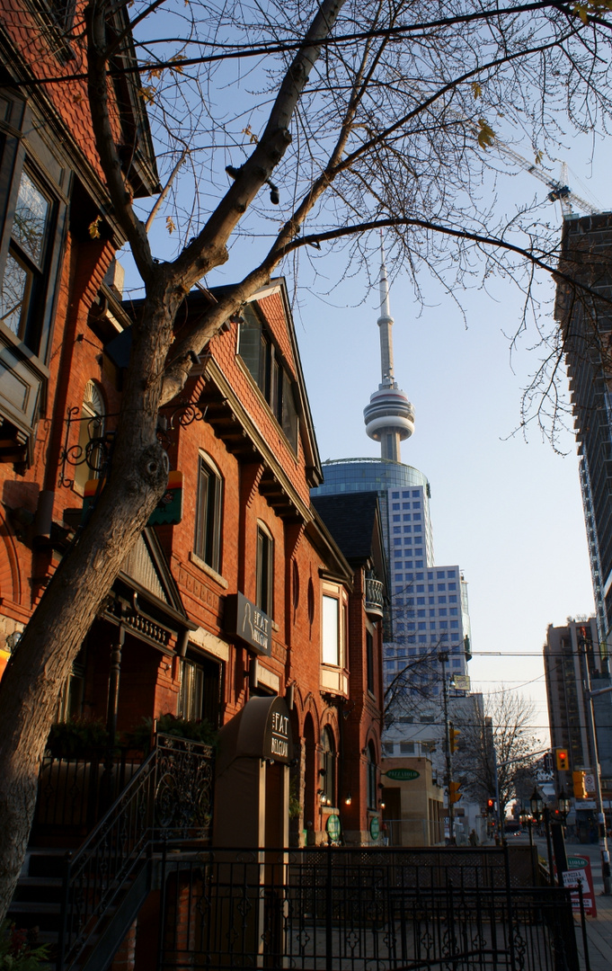 Toronto in the Afternoon