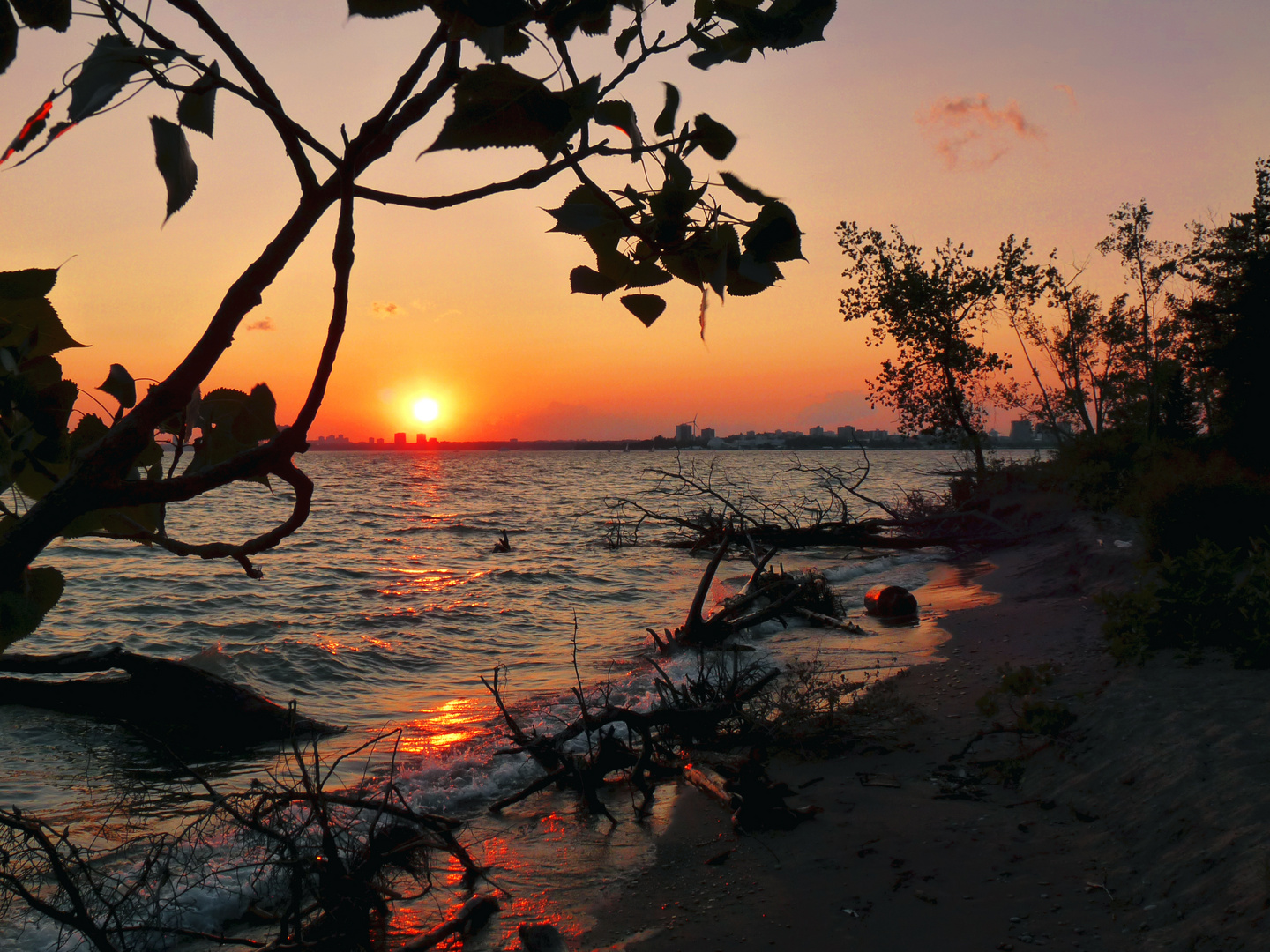 Toronto Island Sunset #2 Foto & Bild | north america, canada, the east ...