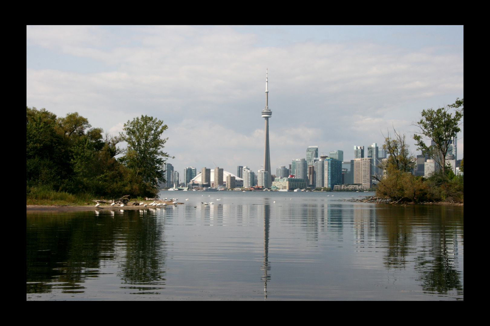 Toronto Skyline