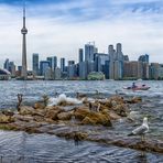 Toronto Skyline 