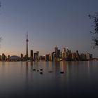 Toronto und Kanada-Gänse