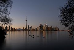 Toronto und Kanada-Gänse