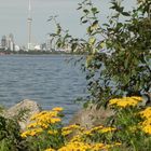 Toronto_Spring view