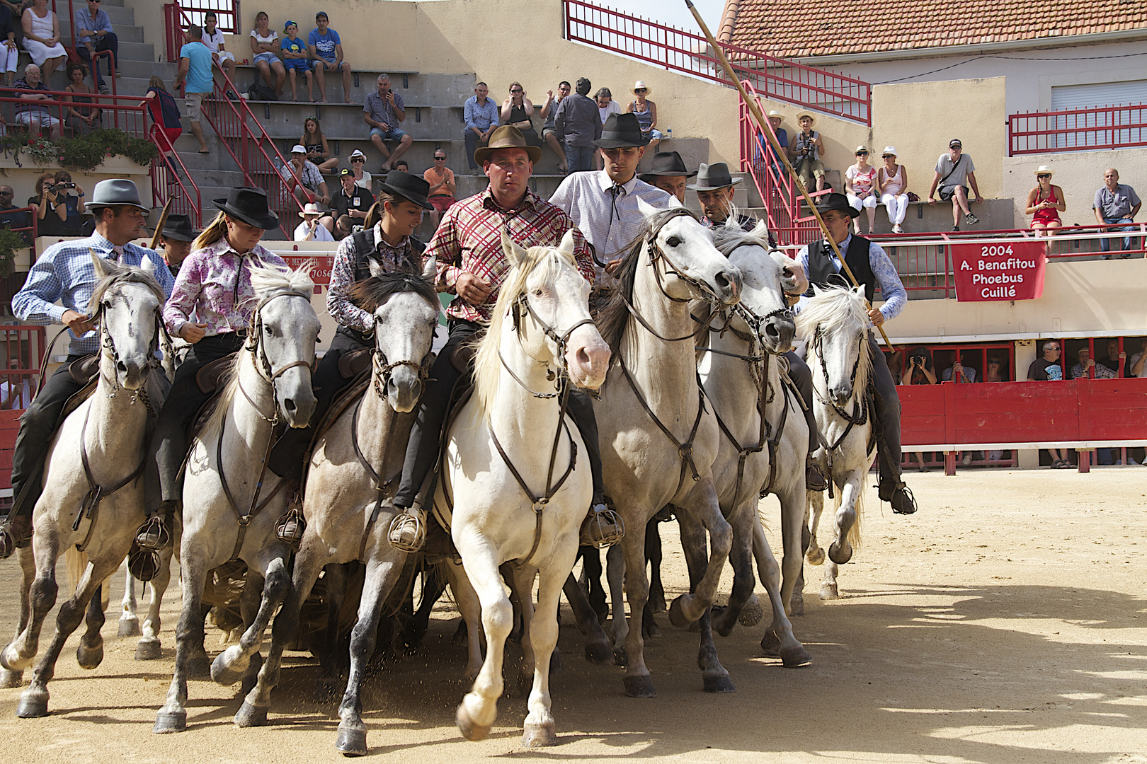 toros