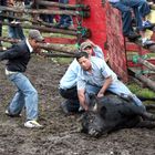 toros de mi pueblo