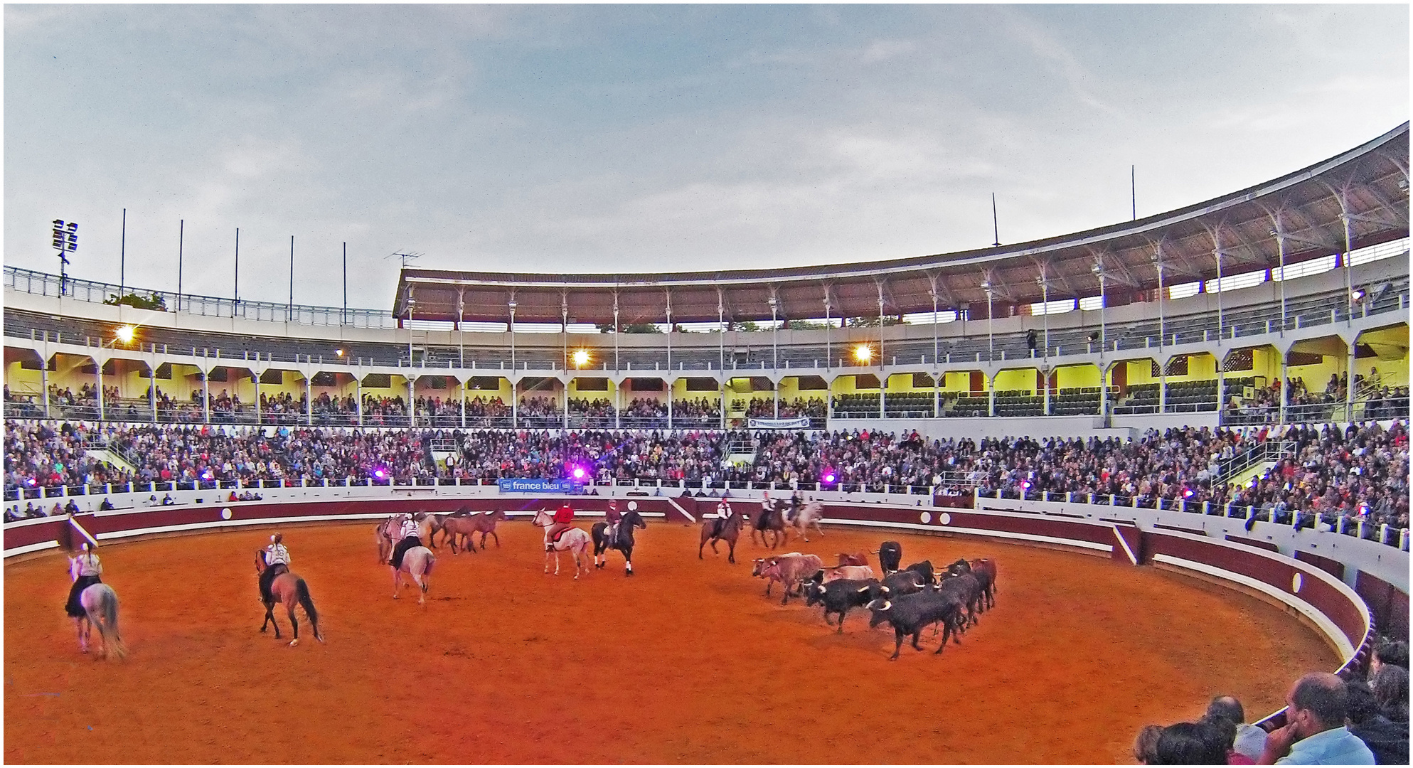 Toros y caballos