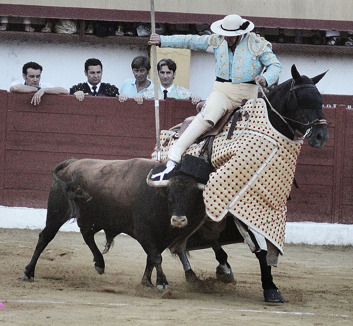 Toros,el picador.