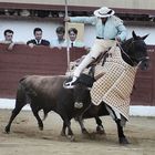 Toros,el picador.