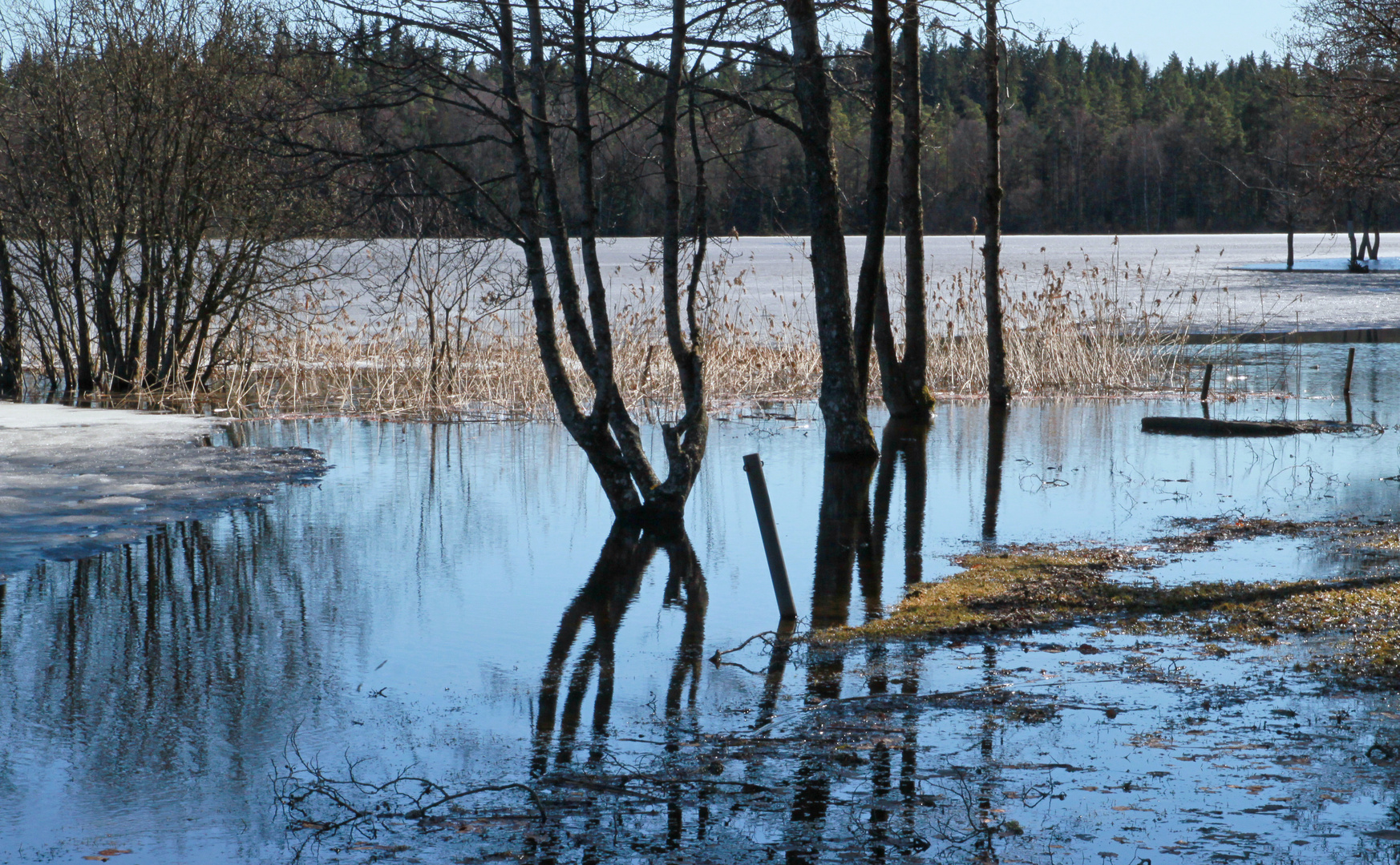 Torpasjön II