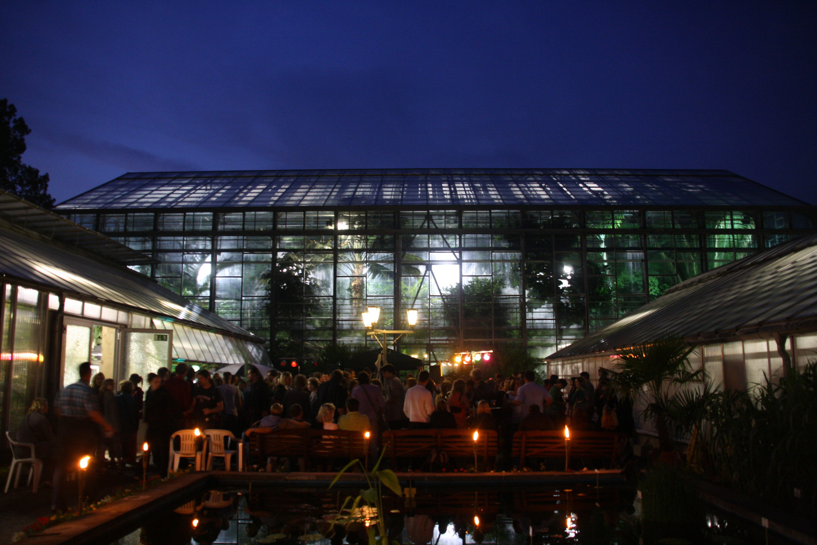 Torpische Nacht im Botanischen Garten