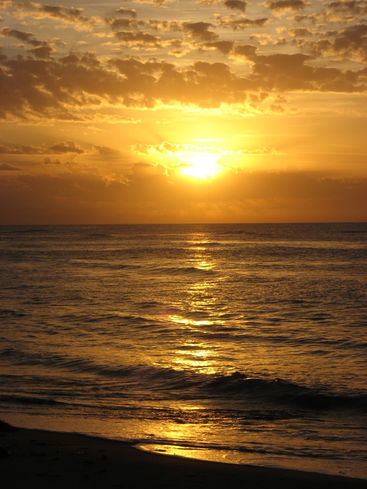 Torquay Beach