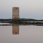 torre allo specchio