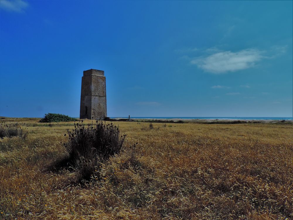 torre andalusa