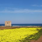 Torre Angioina Abbazia San Vito Polignano a Mare