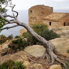 Torre Cala en Basset