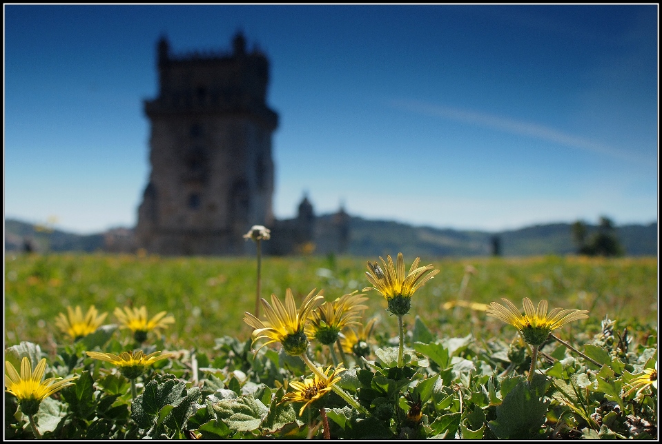 Torre de Belem